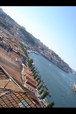 e0120938_514572.jpg
