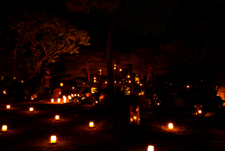 妙心寺　東林院にて_c0118543_22225923.jpg