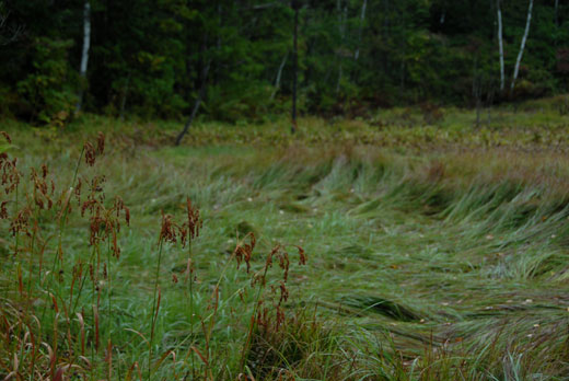 c0093046_6414869.jpg