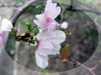 f0031546_8492073.jpg