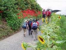 d0048350_1903991.jpg