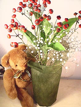 ☆薔薇の実、そして24の罠☆_c0092953_311071.jpg