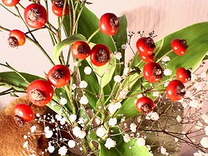 ☆薔薇の実、そして24の罠☆_c0092953_3334089.jpg