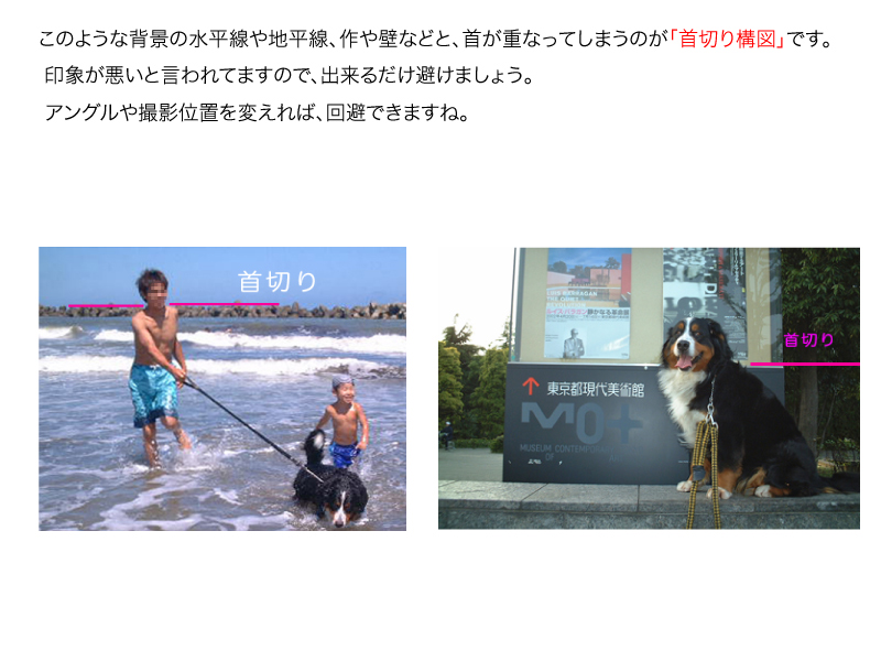 首切り 串刺し構図は止めましょう あぐpictures 首切り 串刺し構図は止めましょう あぐpictures