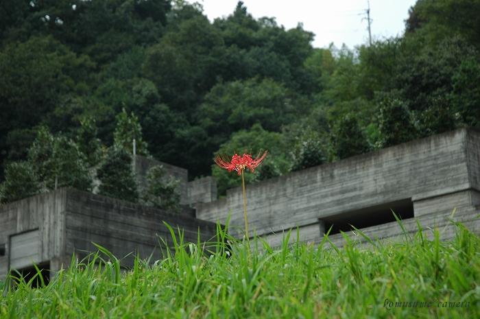 c0136759_21493929.jpg