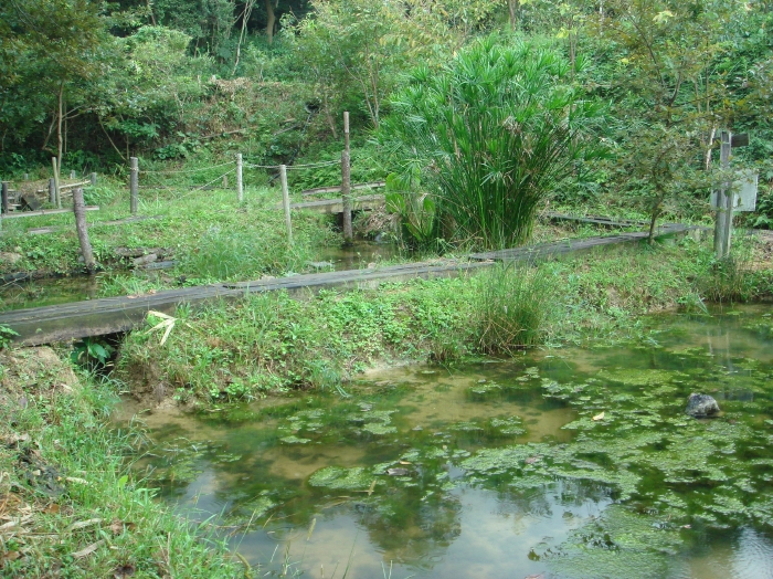 c0108460_17574139.jpg
