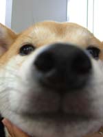 秋の勉学_d0129766_17241495.jpg