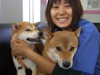 木曜日は芝(犬)日和_d0129766_17384197.jpg
