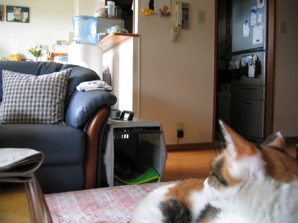 c0023474_9435981.jpg