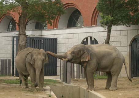 昨日は動物園へ_e0052376_9323358.jpg