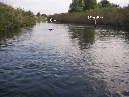 f0114893_993912.jpg