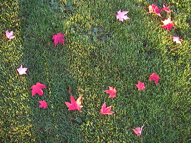 f0038407_23104539.jpg