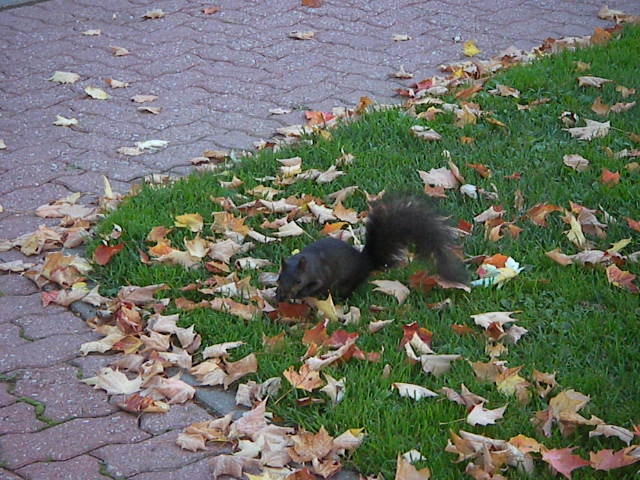f0038407_2355293.jpg