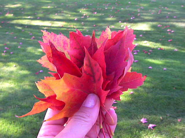 f0038407_2371661.jpg