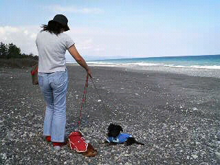 f0127408_21475040.jpg