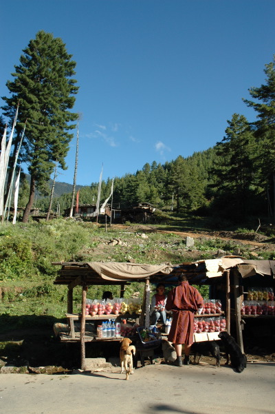 ブータン・農村の風景_c0016913_1856552.jpg