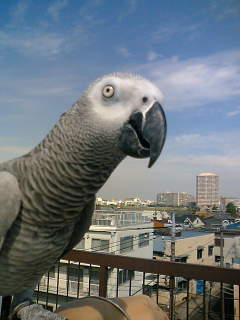 c0133013_2346885.jpg