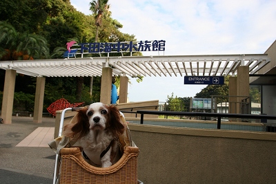 b0072515_121577.jpg