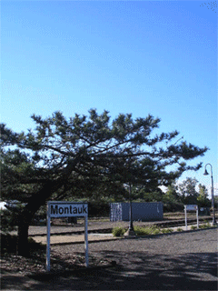 e0053321_6344168.gif