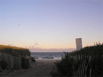 e0053321_6352528.gif