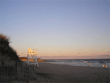 e0053321_635414.gif