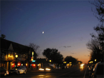 e0053321_6355881.gif