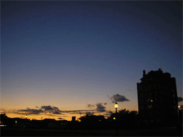 e0053321_6361583.gif