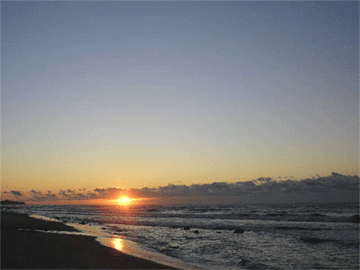 e0053321_636493.gif
