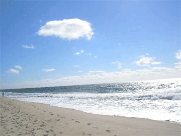 e0053321_637680.gif