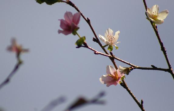 c0107924_20374570.jpg
