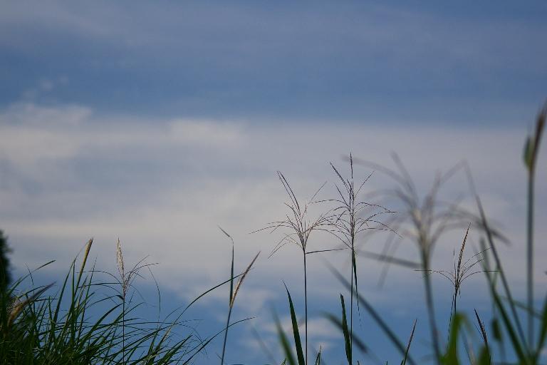 c0107924_2041102.jpg