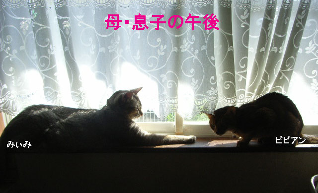 d0081025_20131293.jpg