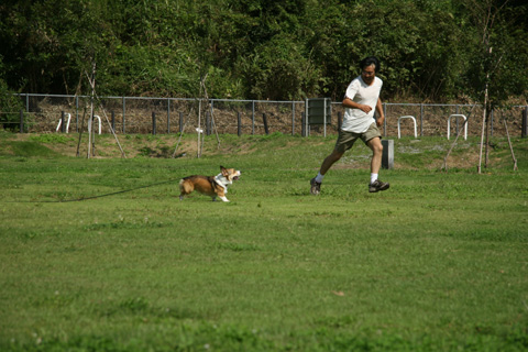 e0071225_1434513.jpg