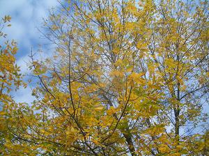 a0080833_1328275.jpg