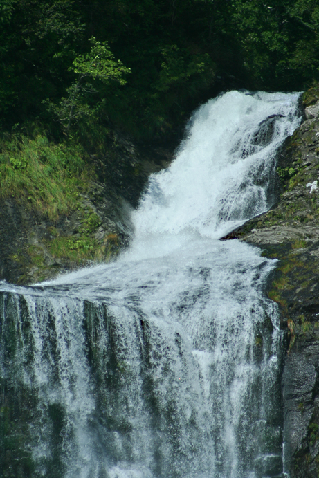 f0009433_3152912.jpg