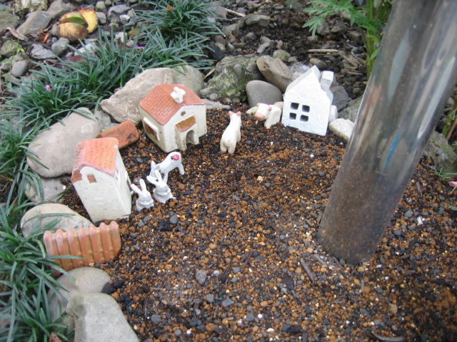 b0088037_927889.jpg