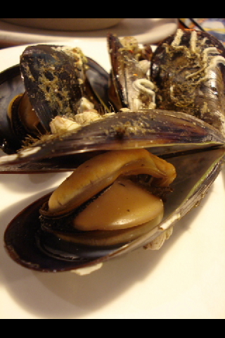 e0120938_8312542.jpg