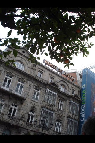 e0120938_8321936.jpg