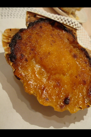 e0120938_8374998.jpg