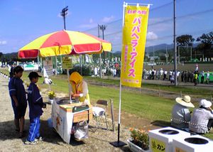 地域差_f0081443_2061867.jpg