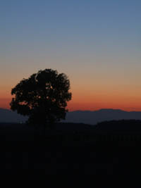 c0097856_22204833.jpg