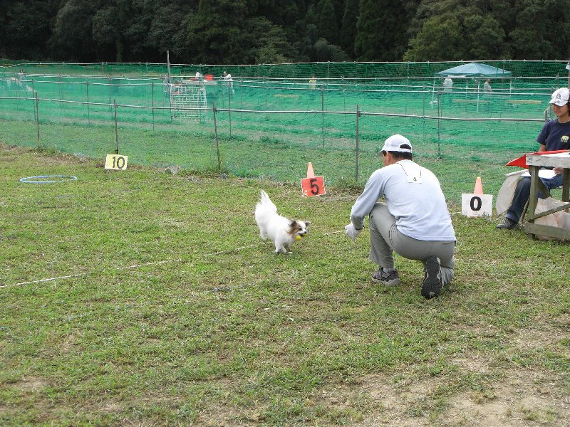 今更ですが・・・ピッチ＆ゴー！_a0105961_6504950.jpg