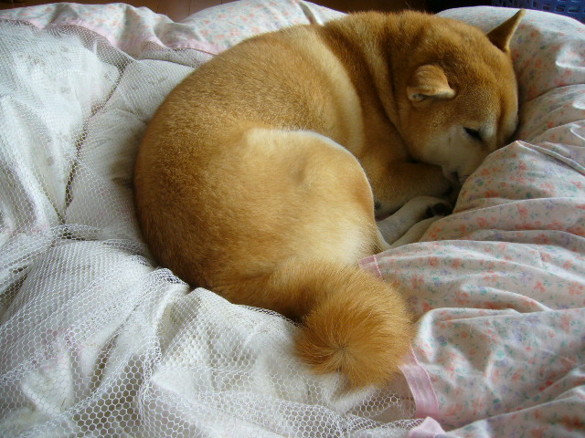2007年10月6日(土)愛ちゃんのワンマンショー_f0060461_16125947.jpg