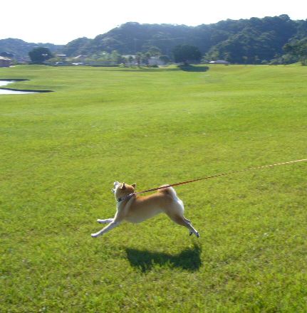 2007年10月6日(土)愛ちゃんのワンマンショー_f0060461_16152048.jpg