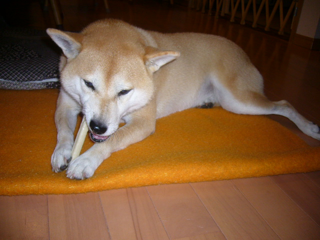 2007年10月6日(土)愛ちゃんのワンマンショー_f0060461_16253481.jpg