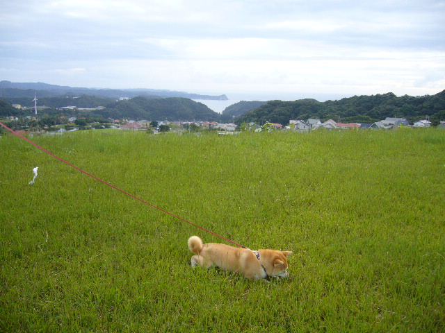 2007年10月6日(土)愛ちゃんのワンマンショー_f0060461_16304979.jpg