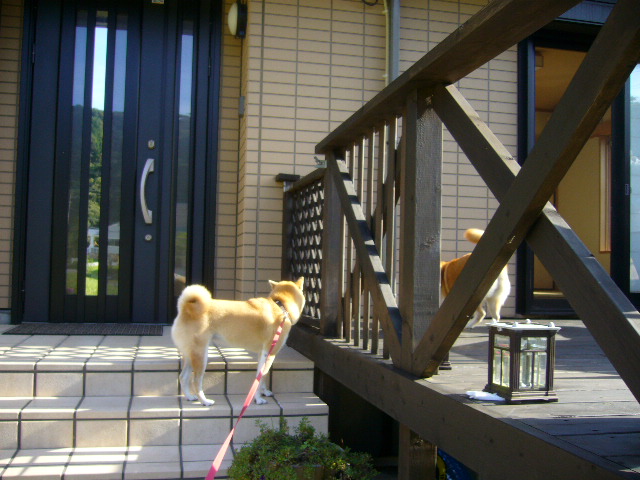 2007年10月6日(土)愛ちゃんのワンマンショー_f0060461_1693629.jpg
