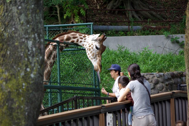 福岡動植物園_d0131164_2223443.jpg