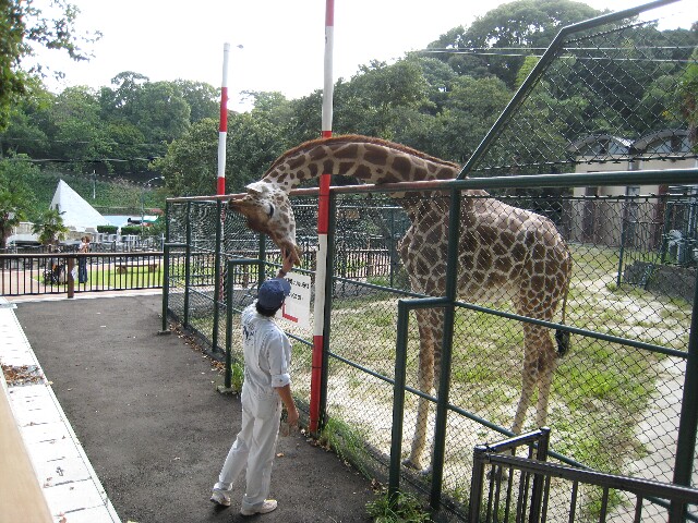 福岡動植物園_d0131164_2224497.jpg