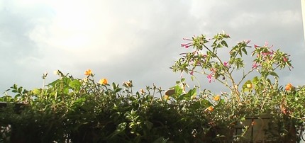 d0083265_19531480.jpg